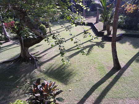R0010409_2