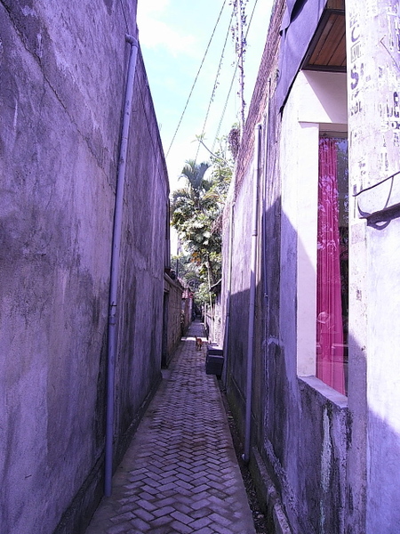 R0010460