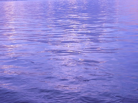 R0010508