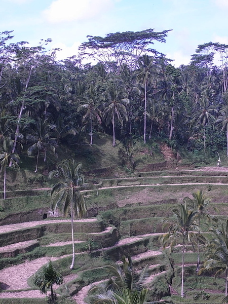 R0010553